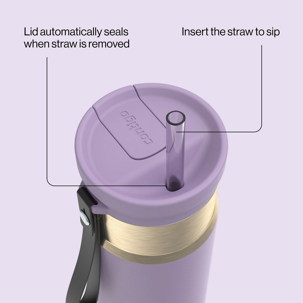24oz-snapsealtm-bottle-r3 bevt0009_contigo_2231080_snapseal_24oz_straw_purplecarrot_atf4